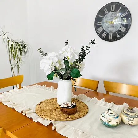 Comfy Flat 2 No Air Condition But Has Ceiling Fans And Heating Denizli (Denizli)