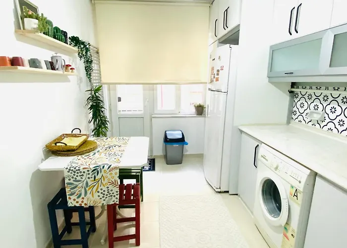 Aydinoglu 代尼兹利