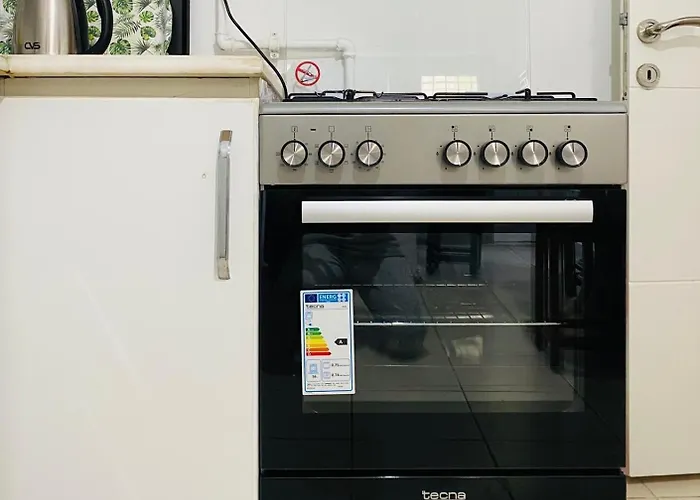 Aydinoglu 公寓 代尼兹利