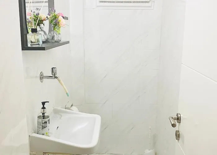 Aydinoglu * 代尼兹利